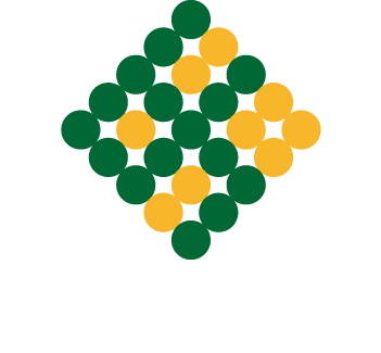 Soybean Foods Soybean Foods