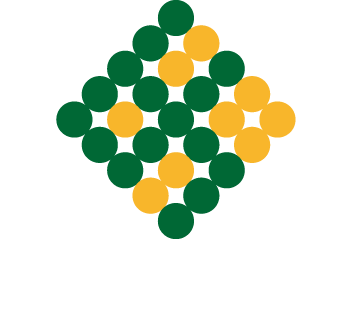 Soybean Foods
